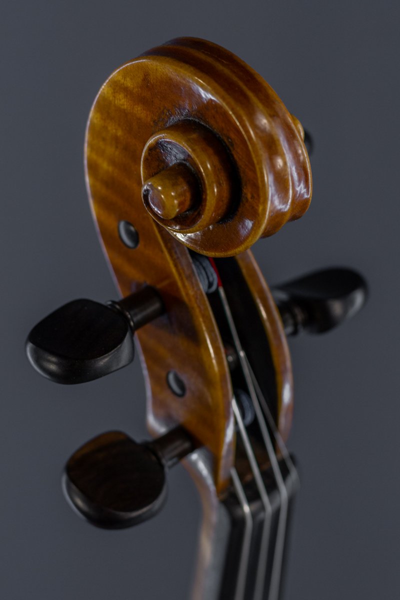 pascal gilis violon 2019 (6)